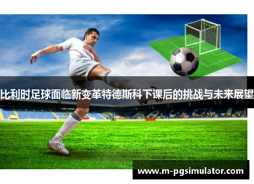 比利时足球面临新变革特德斯科下课后的挑战与未来展望