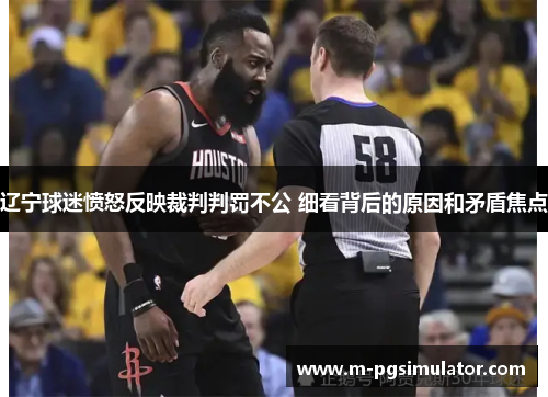 辽宁球迷愤怒反映裁判判罚不公 细看背后的原因和矛盾焦点