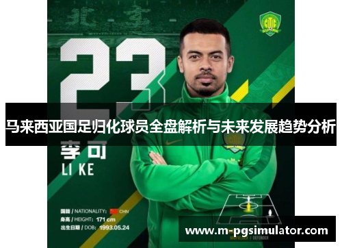马来西亚国足归化球员全盘解析与未来发展趋势分析